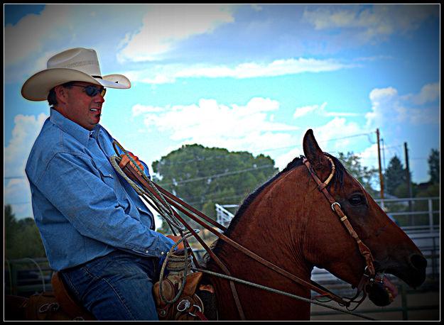 Ironed Shirt. Photo by Terry Allen.