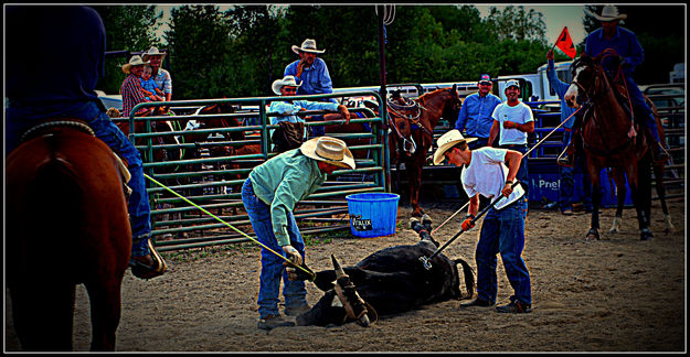 Placing the Brand. Photo by Terry Allen.