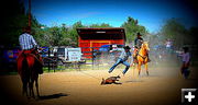 Jumping In. Photo by Terry Allen.