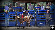 Knee High. Photo by Terry Allen.