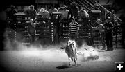 Eatin' Dust. Photo by Terry Allen.