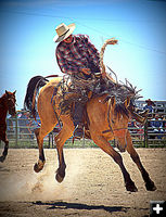 Good Ride. Photo by Terry Allen.