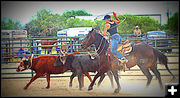 Up in the Stirrups. Photo by Terry Allen.