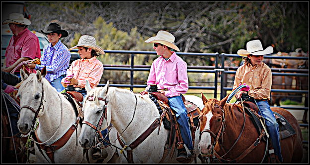 In the Lineup. Photo by Terry Allen.