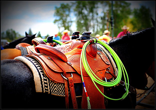 Saddles and Hats. Photo by Terry Allen.