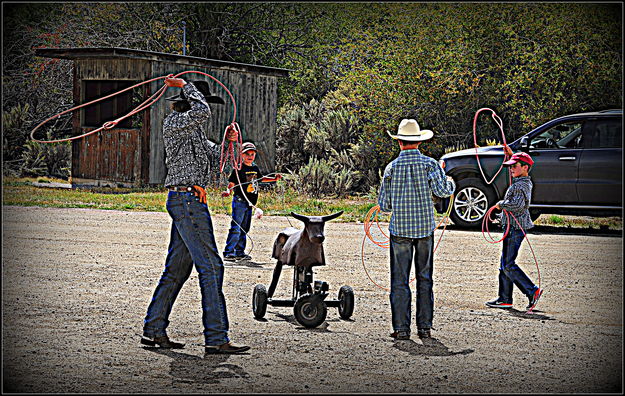 Raising up Ropers. Photo by Terry Allen.