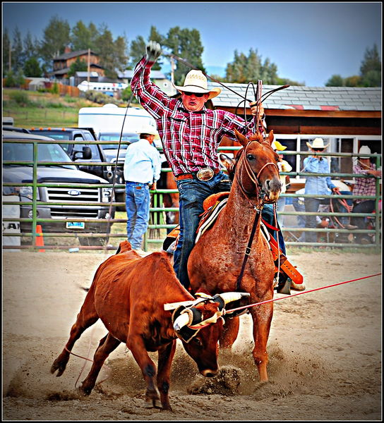 Reaching High. Photo by Terry Allen.