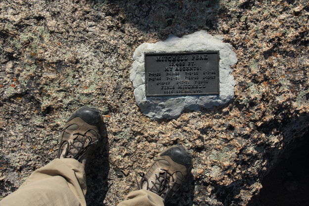 Finis Mitchell summit plaque. Photo by Fred Pflughoft.