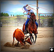Rope a Steer. Photo by Terry Allen.
