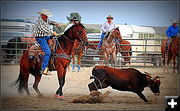 Heeled. Photo by Terry Allen.