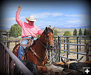 Moving Steers. Photo by Terry Allen.