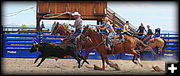 Synchronized Roping. Photo by Terry Allen.