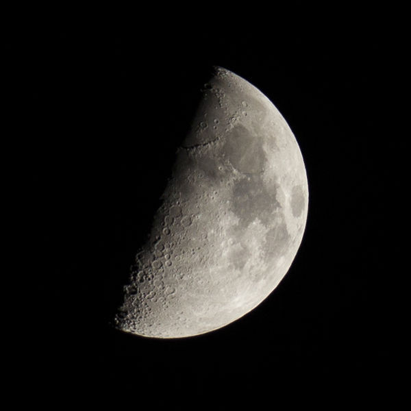1st Quarter Moon. Photo by Dave Bell.