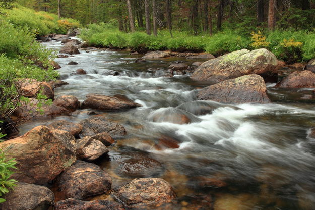 Mountain stream. Photo by Fred Pflughoft.