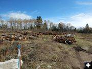 Firewood available. Photo by Bridger-Teton National Forest.