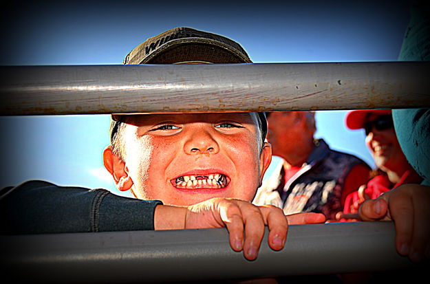 Biggest Little Fan. Photo by Terry Allen.