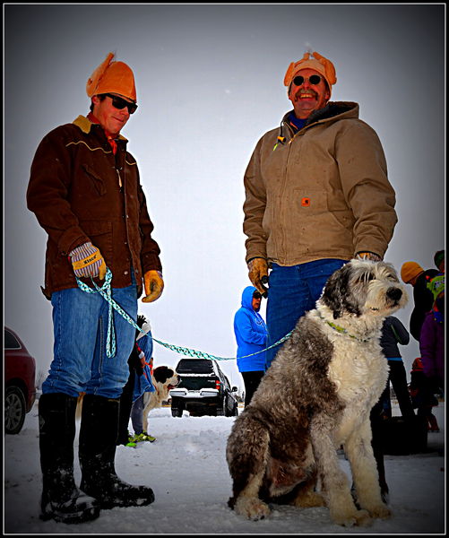 Two Turkeys and a dog. Photo by Terry Allen.