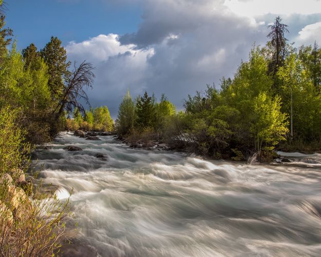 High Tide on Pine Creek. Photo by Arnie Brokling.