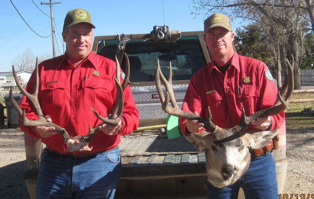 Deer poaching case solved. Photo by Wyoming Game & Fish.