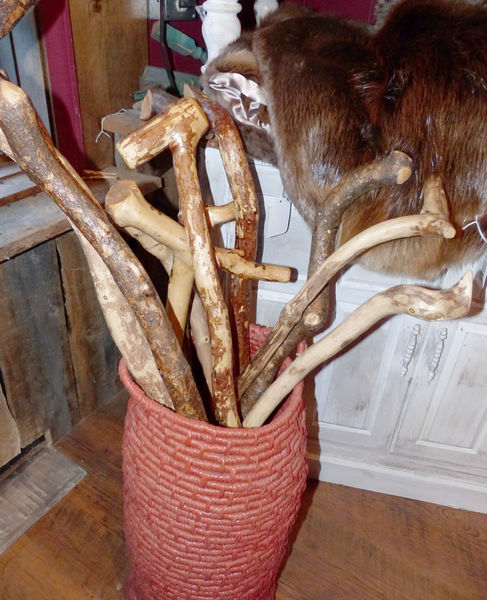 Walking sticks. Photo by Dawn Ballou, Pinedale Online.