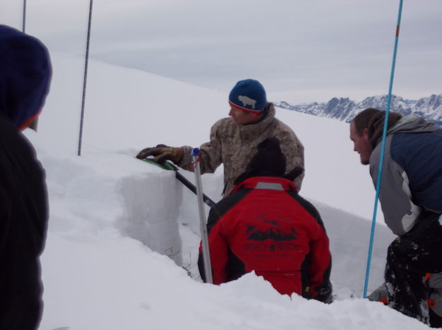 Checking out the snow. Photo by Tip Top Search and Rescue.