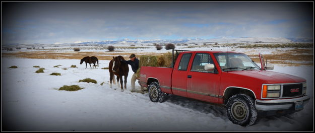 Taking Care of Friends. Photo by Terry Allen.