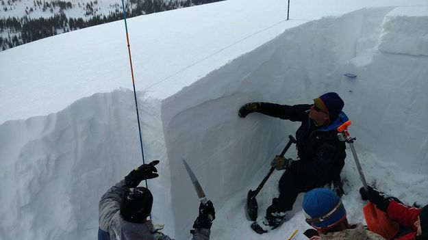 Looking at snow layers. Photo by Tip Top Search and Rescue.