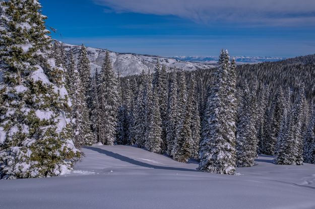 Untracked Powder. Photo by Arnold Brokling.