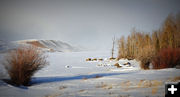 Fremont Lake. Photo by Terry Allen.