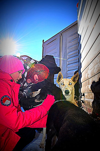 Meeting the Dogs. Photo by Terry Allen.