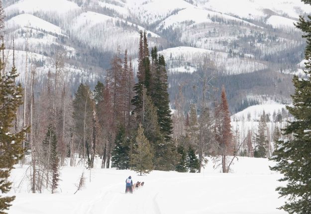 Big Piney Stage. Photo by EUKANUBA Stage Stop Race.