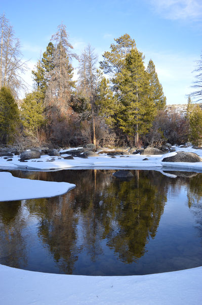 Boulder Creek. Photo by Marcelle Garison.