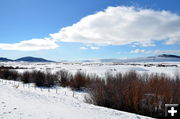 Leaving Sled Dog Country. Photo by Terry Allen.