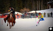 Doc and Skier Torque. Photo by Terry Allen.