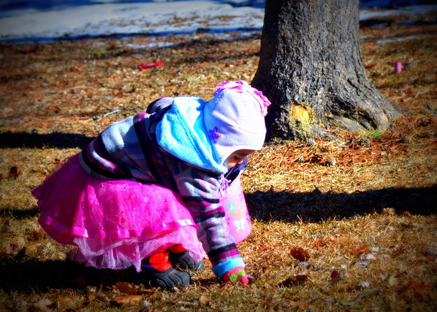 Grabbing Candy 2. Photo by Terry Allen.