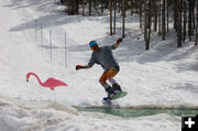 Pond Skimming. Photo by White Pine Resort.