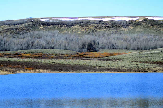 Pond. Photo by Terry Allen.