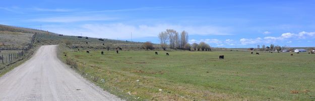 Leaving the Ranch. Photo by Terry Allen.