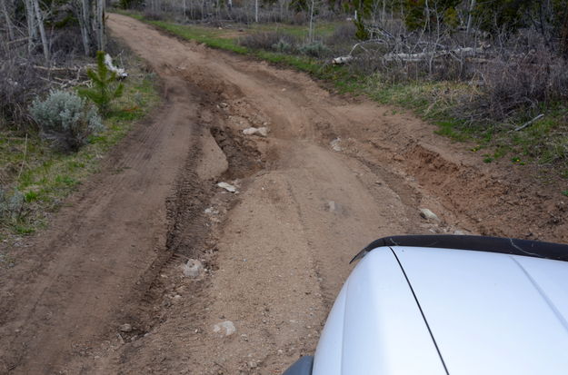 The Rutted Rocky Road2. Photo by Terry Allen, Pinedale Online!.