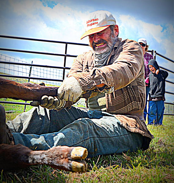 Cowboy Stretching Hard. Photo by Terry Allen.