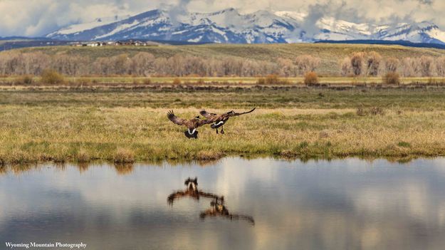 Final approach. Photo by Dave Bell.