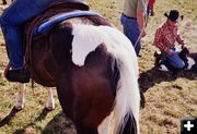 Horse on a Horse. Photo by Terry Allen.