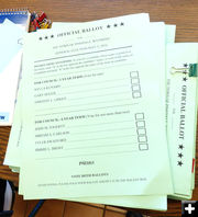 Ballots. Photo by Dawn Ballou, Pinedale Online.