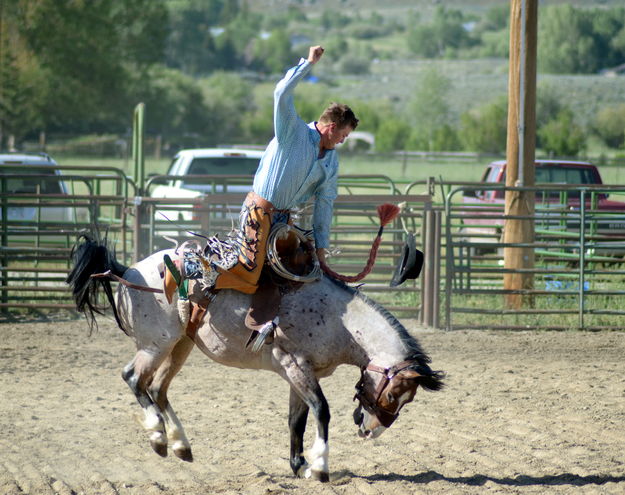 Bronc 1. Photo by Terry Allen.