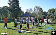 Yoga in the Park. Photo by Terry Allen.