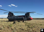 Boeing Chinook. Photo by Dave Bell.