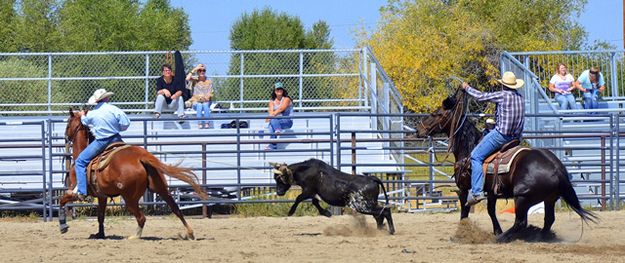 Got Him. Photo by Terry Allen.