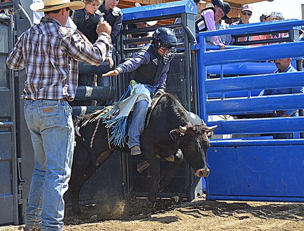 Steer Rider. Photo by Terry Allen.