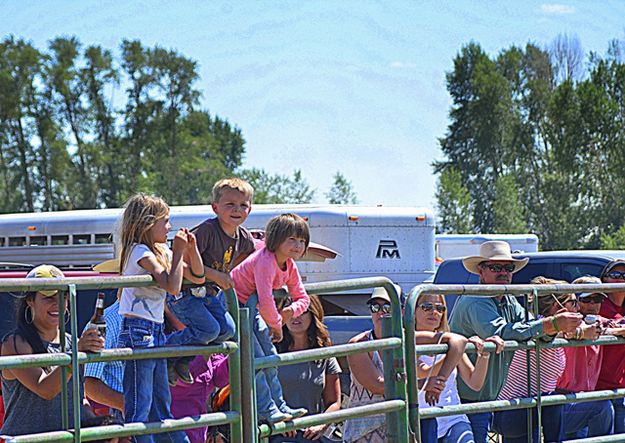 Rodeo Crowd. Photo by Terry Allen.