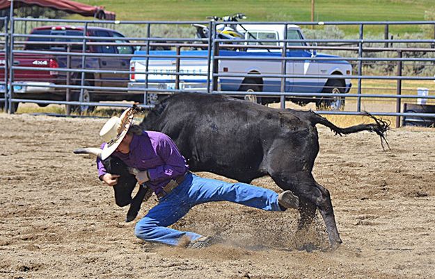A Man and his Steer. Photo by Terry Allen.